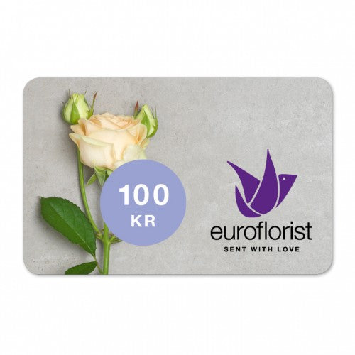 Gavekort 100 kr.